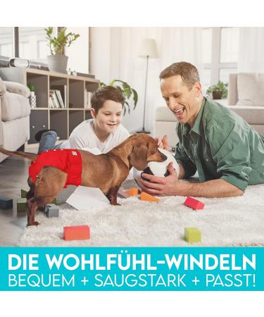 Buy Dog is K nig Dog Diapers for Bitches - Eco-Friendly Adjustable Strong Suction Pants (3 pcs) | Size S (29-40cm) - Red Blue Green - Buy Online on GoSupps.com