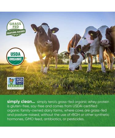 Simply Tera's Organic Dark Chocolate Whey Protein Powder - 12oz | Pure & Delicious - Buy Online on GoSupps.com