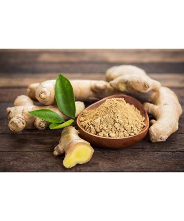 Cedar Bear Stomach Settler with Ginger a Liquid Herbal Supplement That Helps Calm a Mild Upset Stomach 2 Fl Oz 2 Fl Oz (Pack of 1) - Buy Online on GoSupps.com