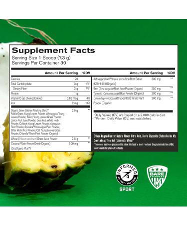 BARE PERFORMANCE NUTRITION BPN Vegan Vanilla Protein + Strong Greens Pineapple Coconut Bundle - Buy Online on GoSupps.com