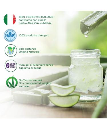 Benessence - Frequent Use Shampoo with Organic Aloe Vera - 250 ML - Buy Online on GoSupps.com