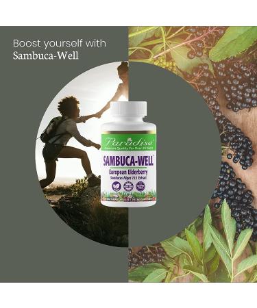 Paradise Herbs Sambuca-Well | 60 Vegetarian Capsules for Wellness - Buy Online on GoSupps.com