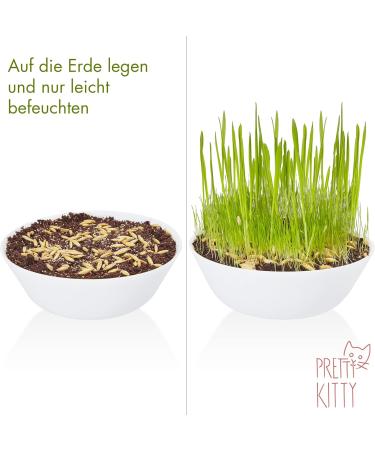 Pretty Kitty Cat Grass Seeds - 25g for 10 Pots | Natural Cat Treats | Premium Grass Seeds for Your Feline - Buy Online on GoSupps.com