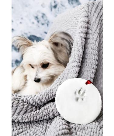 Pawprint DIY Clay Kit for Pet Keepsake Ornament - Dog/Cat Owner Holiday Decor - Buy Online on GoSupps.com