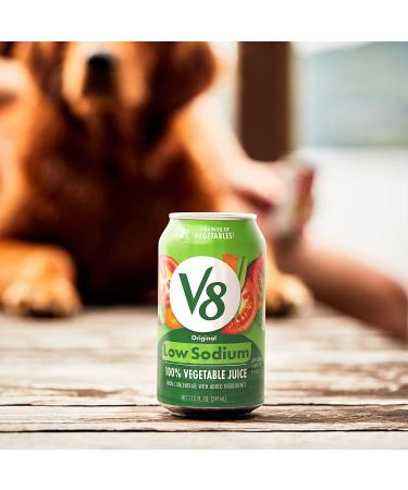 V8 Low Sodium Original 100% Vegetable Juice 11.5 FL OZ Can (4 Packs of 6 Cans) - Vegetable Blend with Tomato Juice - Buy Online on GoSupps.com