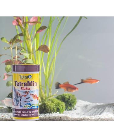 Tetra Min Fish Food Flakes Complete and Varied Food for All Tropical Fish 200 g 200 g (Pack of 1) Single - Buy Online on GoSupps.com