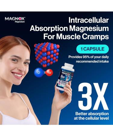 MAGNOX Buster | Patented Clinically Tested 380mg Magnesium Supplement for Spasms & Leg Cramps at Night | One Capsule a Day for Almost Full Dosage | 3X More Absorption | Dead Sea Minerals (120 Caps) 120 Count (Pack of 1) MA  - Buy Online on GoSupps.com