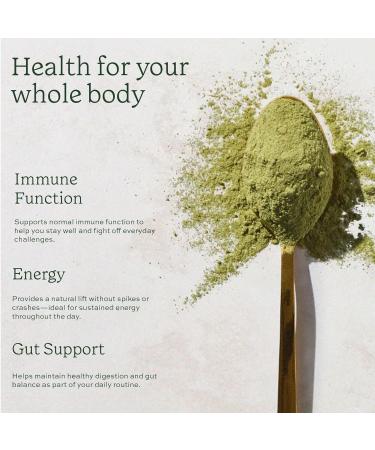 Aduna Organic Super Greens Blend | 100% Natural Superfood Powder for Immune Support & Energy | Stir-in Blend with 10+ Superfoods Moringa & More | Vegan Powder for Smoothies Shakes & Yoghurt | 250g Super Greens 1 Count (Pa  - Buy Online on GoSupps.com