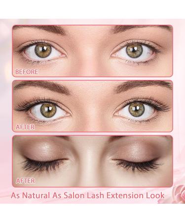 Magnetic Eyelashes with Applicator 2 Pairs of Magnetic Lashes with Applicator Dalarey Magnetic Lashes Magnetic Glue-Free Waterproof Reusable Easy to Wear Comes with Round Box and White Clip - Buy Online on GoSupps.com