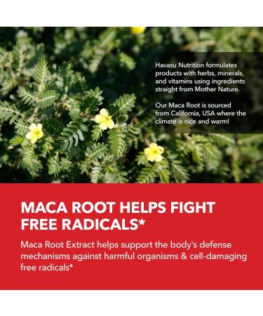 Buy Tribulus Terrestris for Men (95% Saponins) with Maca Root - 1 000 mg Male Performance Support Capsules - 90 Count - International Shipping Available - Buy Online on GoSupps.com