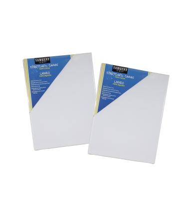 Sargent Art 18 x 24 Inch Stretched Canvas Pack of 2 Pieces Blank White Canvases Double Acrylic Titanium Priming Perfect for Acrylic Oil and Art Projects Acrylic Pouring & Wet Media