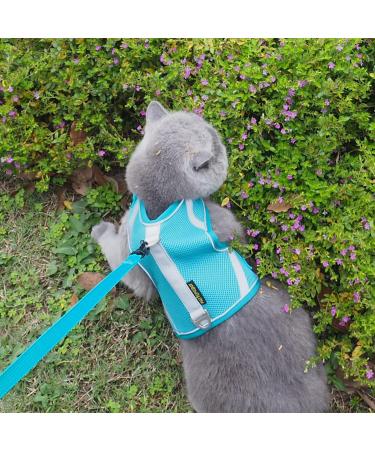 Cat Dishes & Leash Set - Reflective Patrol Gear for Cats | International Shipping Available - Buy Online on GoSupps.com