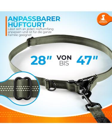 2-in-1 Jogging Line & Leash for Dogs | Dual Handle Dog Leash & Belly Belt for Large/Medium Breeds - Perfect for Walking Jogging & Hiking - Buy Online on GoSupps.com