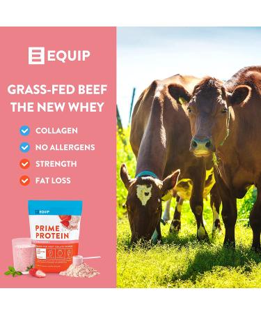 Equip Foods Prime Protein - Grass-Fed Isolate Beef Protein Powder - Strawberry 1.7 Pounds - Buy Online on GoSupps.com