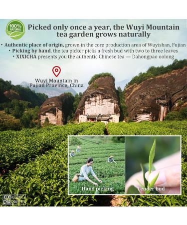 XIXICHA Dahongpao Oolong Tea 4.23oz - Premium Chinese Wuyi Mountain Big Red Robe Loose Leaf Tea | Strong Floral Fragrance - Buy Online on GoSupps.com