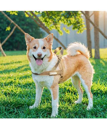 Buy Elite Spanker Tactical Dog Dishes Vest - Adjustable Nylon Pet Dish for Small Medium & Large Dogs (Brown-L) - Buy Online on GoSupps.com