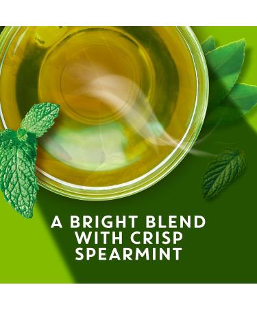 TAZO Organic Zen Green Tea - 36 Tea Bags | Premium Loose Leaf Green Tea for Relaxation | International Shipping Available - Buy Online on GoSupps.com