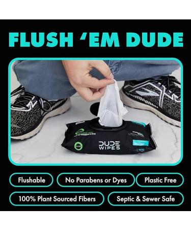 Dude Flushable Wet Wipes 3-Pack - Mint Chill - 144 Count - Vitamin-E  Aloe  Eucalyptus & Tea Tree Oils - Septic Safe - Buy Online on GoSupps.com