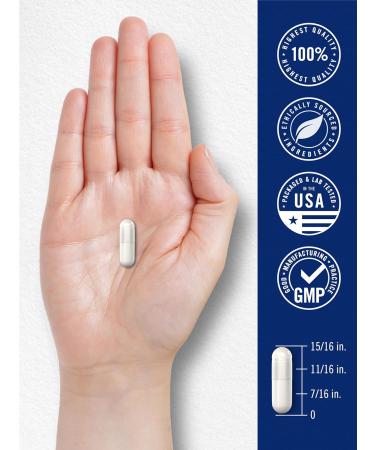 Carlyle Triple Magnesium Complex | 400 mg | 240 Capsules | Magnesium Malate Glycinate & Citrate | Vegetarian Non-GMO and Gluten Free Supplement - Buy Online on GoSupps.com