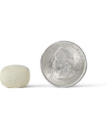 AirBorne Vitamin C Citrus Chewable Tablets - 64 Count | Boost Immunity & Fresh Flavor - Buy Online on GoSupps.com