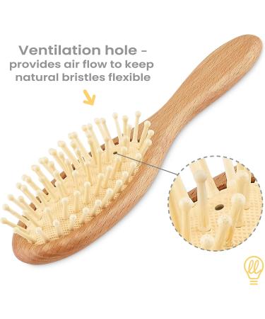 Yellodoor All-Natural Baby Hair Brush Set - 2 Wooden Brushes in Gift Box | Soft Goat Hair Bristles | Ideal Cradle Cap Brush - Buy Online on GoSupps.com