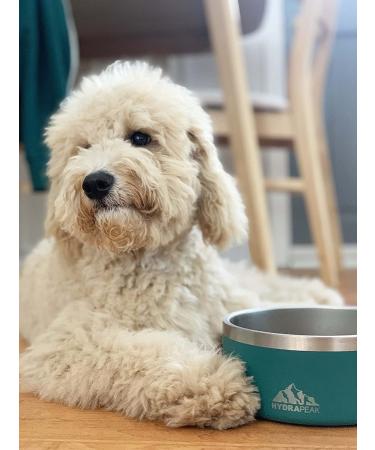 Hydrapeak Non-Slip Stainless Steel Dog Bowl - 8 Cup Orchid | For Water or Food - Buy Online on GoSupps.com