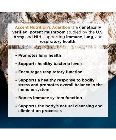 Ascent Nutrition Organic Agarikon Mushroom Powder | Supports Healthy Respiratory and Immune Function | Mycelium Powder | 30 Servings - Buy Online on GoSupps.com