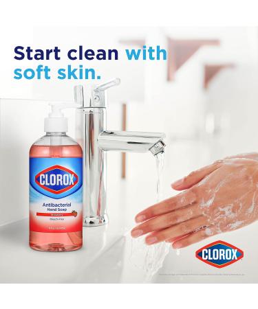 Clorox Liquid Hand Soap - 16 Fl Oz Pump Germ Eliminator Soft on Hands Tough on Dirt Strawberry Scented Hand Wash & Foam Soap - Buy Online on GoSupps.com