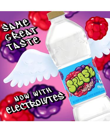 Wild Berry Flavor Splash Blast Flavored Water Beverage - 16.9 fl oz Plastic Bottles (24 Pack) - Buy Online on GoSupps.com