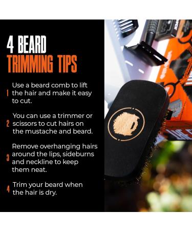 Wild Willies Expert Beard Grooming Kit - 5-Piece Gift Set with Comb Boar Bristle Brush Safety Razor & Grooming Shears | Perfect Men's Beard Kit for Daily Use - Ships Internationally - Buy Online on GoSupps.com
