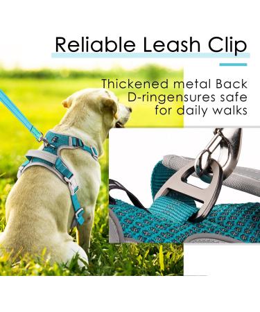 Thinkpet Anti-Zug Dog Harness - Adjustable Breathable Reflective Dog Harness with Handle - No Choking Design - Bright Blue-Green (M) - 1 Pack | International Shipping Available - Buy Online on GoSupps.com
