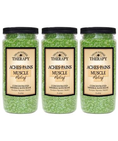 Village Naturals Therapy Aches & Pains Muscle Relief Mineral Bath Soak 20 Oz (3-pack)