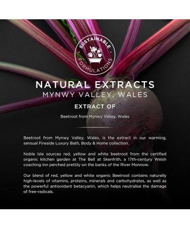 Luxury Men's Fireside Bath & Shower Gel | Vegan & Paraben Free Body Wash with Fine British Fragrance Oils (8.45 oz - Buy Online on GoSupps.com