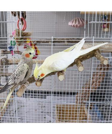 2 Pack Natural Prickly Ash Wood Bird Ladder & Perch Stand - Cage Accessories for Parakeet, Cockatiel, Rats, Hamsters - Climbing, Chewing Toys - Buy Online on GoSupps.com
