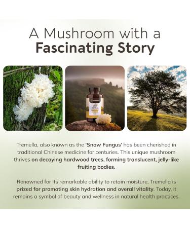 Organic Tremella Mushroom Capsules Supplement (120) | Fruiting Body 10:1 High Strength Snow Fungus Extract | 10% Beta-D Glucans | 9 000mg Raw Equivalent Per Serving | Skin Hydration & Brain Support - Buy Online on GoSupps.com