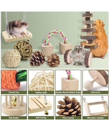 ERKOON Hamster Chew Toys 13 Pack Gerbil Toys Natural Wooden Small Animal Toys Teeth Care Molar Toy Boredom Breaker Treats Dumbbells Exercise Bell Roller for Rat Guinea Pig Chinchilla Rabbits - Buy Online on GoSupps.com