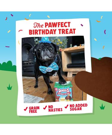 Denzel's Mini Birthday Gift Box for Dogs - Birthday Cake Chews with Peanut Butter & Strawberry + Balloon Shaped Treats with Coconut & Apple - 110g - Buy Online on GoSupps.com