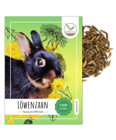 Dandelion seeds for rabbits - wild herbs seed as an optimal feed supplement for rabbits guinea pigs and turtles (5 000 seeds) - Buy Online on GoSupps.com