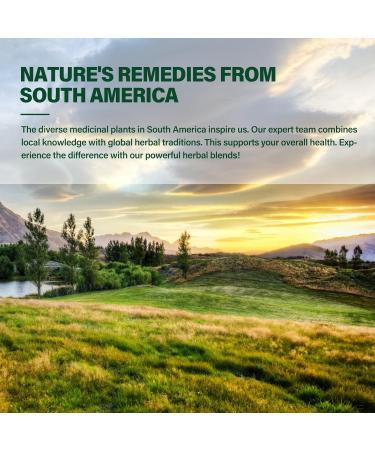 DetoxenNATURE Herbal Formula Kava Extract for Calming Support Peaceful Sleep Support & Relaxation Support. 90Capsules - Buy Online on GoSupps.com