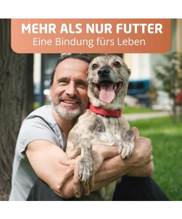 Eggersmann Carnebello - Wet dog food with chicken (6 x 400 g) - Complete food for adult dogs - Tasty and premium wet food for dogs - Buy Online on GoSupps.com