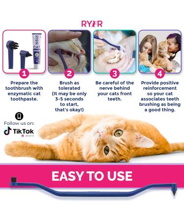 Ryercat Double-Sided Cat Toothbrush - Micro-Size Kitten Dental Care - Space Blue Cat Accessories - Buy Online on GoSupps.com