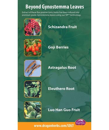 Dragon Herbs Spring Dragon Longevity Tea - Caffeine Free, 20 Tea Bags (1.8 oz) - Buy Online on GoSupps.com