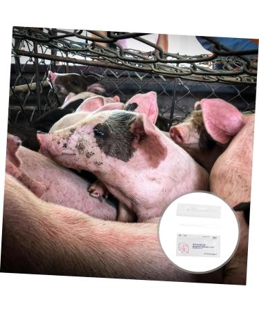 MAGICLULU 2pcs Pregnant Tester Cow Pregnancy Test Paper Pig Pregnancy Test Strips Livestock Pregnant Detection Tool Pig Pregnancy Diagnosis Tester Farm Supply Test Card Animal White Plastic White 1 count (Pack of 1) - Buy Online on GoSupps.com