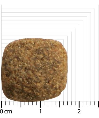 Bozita Dog Original Adult Senior 3 kg - Buy Online on GoSupps.com