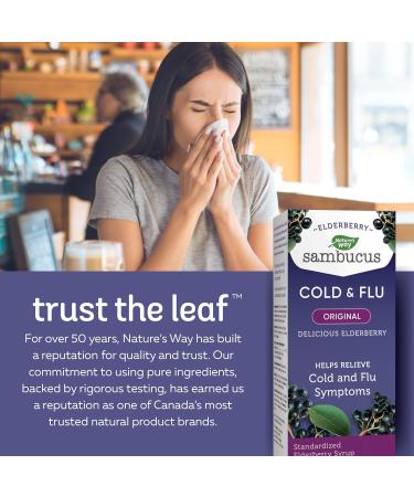 Nature's Way Sambucus Cold and Flu Care Original Elderberry Syrup Used in Herbal Medicine to Help Relieve Symptoms (Coughs and Sore Throats) in Adults 120 ml - Buy Online on GoSupps.com