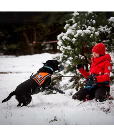 Dingo Gear Soft Ball Dog Toy Set - Real Scar Leather Grip for Puppy Training - 2-Pack 8cm Multi-Colored - Buy Online on GoSupps.com