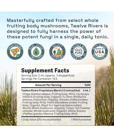 RAW Forest Foods Twelve Rivers Functional Mushroom MycoMedic Elixir Tincture 1:2 True Dual-Stage Extraction Spiced Winter Chai 2 Fluid Ounce Bottle - Buy Online on GoSupps.com
