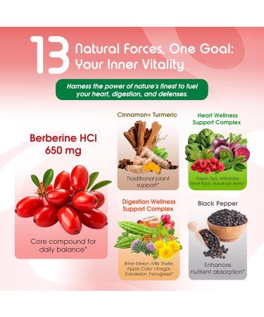 Liposomal Berberine with Cinnamon & Turmeric Supports Digestion & Immune Health 150 Capsules 150 count (pack of 1) - Buy Online on GoSupps.com