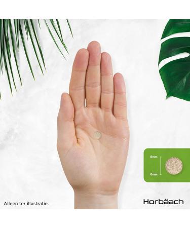 Ashwagandha 2000mg 365 Vegan Tablets Supplement for Men and Women 6 Months Delivery Horbach - Buy Online on GoSupps.com