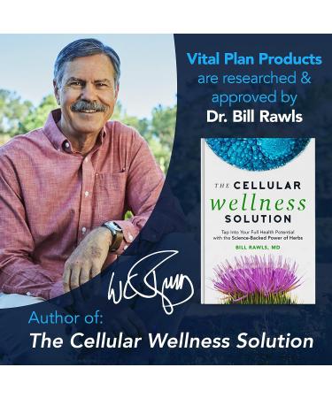 Vital Plan Brain Boost Supplement by Dr. Bill Rawls | Brain Boosting Capsules with Lions Mane, Cats Claw, Bacopa, Sensoril Ashwagandha, & Ginkgo Biloba - Buy Online on GoSupps.com